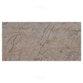 Trueliving_Somany Glosstra Vivo Mushroom Glossy 600 mm x 300 mm Ceramic Wall Tile_Price-57_Per Sq Ft.